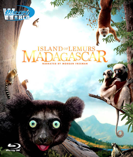 F726. Island of Lemurs Madagascar 2014  3D50G